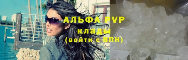 СК Новокубанск