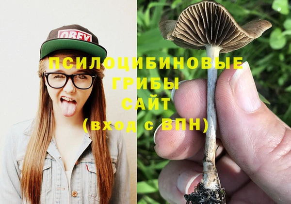 стафф Няндома