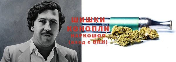 дурь Новодвинск