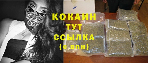дурь Новодвинск