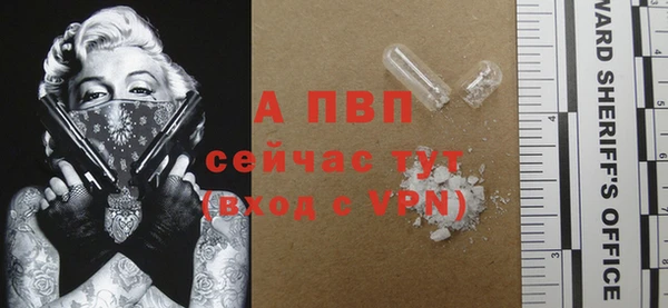 дурь Новодвинск