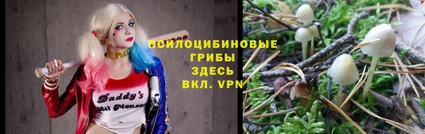 дурь Новодвинск