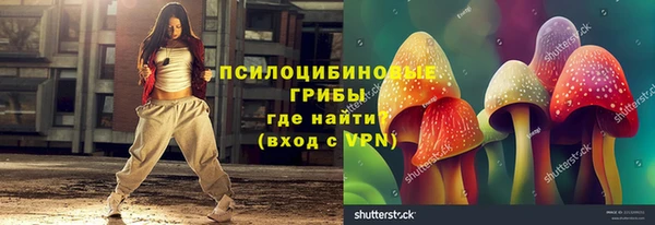 дурь Новодвинск