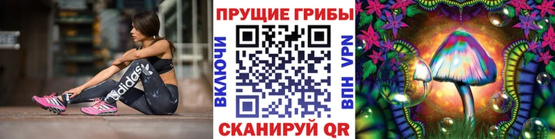 Псилоцибиновые грибы Magic Shrooms  Владивосток 