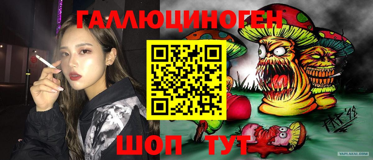 Псилоцибиновые грибы MAGIC MUSHROOMS Владивосток