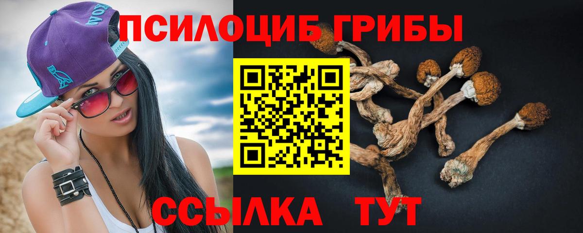 Галлюциногенные грибы GOLDEN TEACHER  купить  цена  Владивосток  Галлюциногенные грибы ЛСД  Вход с VPN 